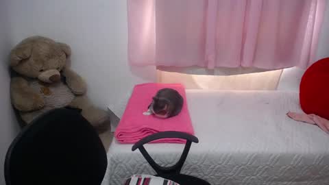 Kim online show from 20, 2, 2025