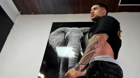 Snapshot of king_falconer chatting on 26, 10, 2025 Angel Falconer online show from 26, 10, 2025