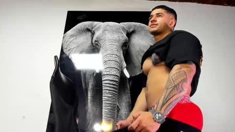 Snapshot of king_falconer chatting on 31, 10, 2025 Angel Falconer online show from 31, 10, 2025