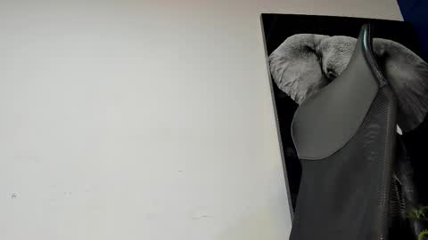 Snapshot of king_falconer chatting on 4, 11, 2025 Angel Falconer online show from 4, 11, 2025