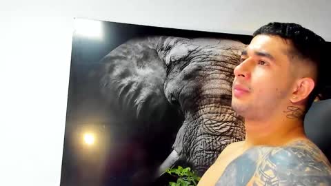 Snapshot of king_falconer chatting on 21, 11, 2025 Angel Falconer online show from 21, 11, 2025