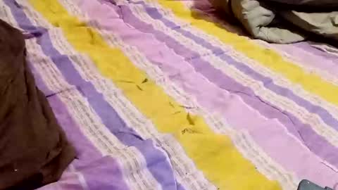 kingbat30 online show from 2, 3, 2025