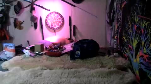 Snapshot of kingdawgg77 chatting on 7, 3, 2026 Jerry online show from 7, 3, 2026