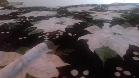 Kinky K80 online show from 24, 11, 2025