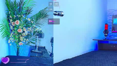    online show from 16, 11, 2025