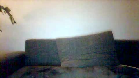 kinkylionboy online show from 25, 2, 2026