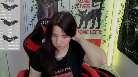 meow online show from 22, 5, 2026