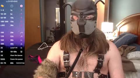 Snapshot of kinkywolf87 chatting on 27, 1, 2025 kinkywolf87 online show from 27, 1, 2025
