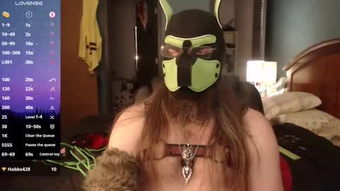 kinkywolf87 online show from 13, 4, 2026