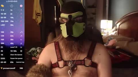 Snapshot of kinkywolf87 chatting on 8, 5, 2026 kinkywolf87 online show from 8, 5, 2026