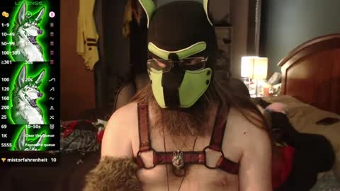 Snapshot of kinkywolf87 chatting on 20, 7, 2026 kinkywolf87 online show from 20, 7, 2026