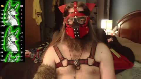 Snapshot of kinkywolf87 chatting on 22, 7, 2026 kinkywolf87 online show from 22, 7, 2026