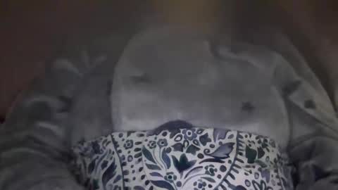 kissandtell1357 online show from 24, 10, 2025