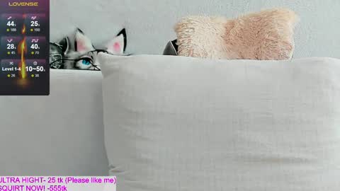 Kitty online show from 14, 4, 2026