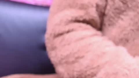 Snapshot of kitty_malach chatting on 23, 10, 2025 Kitty online show from 23, 10, 2025