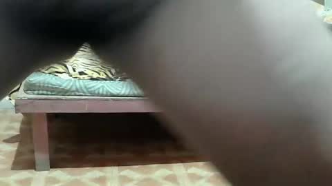 Snapshot of kitty_slut7 chatting on 25, 3, 2026 Kitty online show from 25, 3, 2026