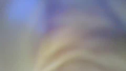 KittyBounty online show from 4, 12, 2024