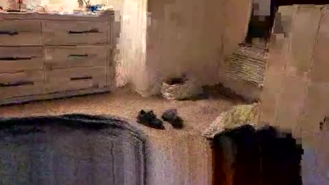 Snapshot of kittykat175154 chatting on 27, 2, 2026 kittykat175154 online show from 27, 2, 2026