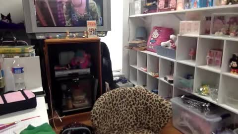 kittykatcoco online show from 8, 1, 2026