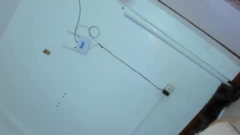 Snapshot of kittylickerfucker69 chatting on 25, 2, 2025 Grace online show from 25, 2, 2025