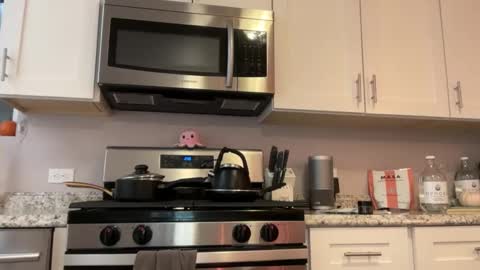 kittypurr79 online show from 25, 11, 2025