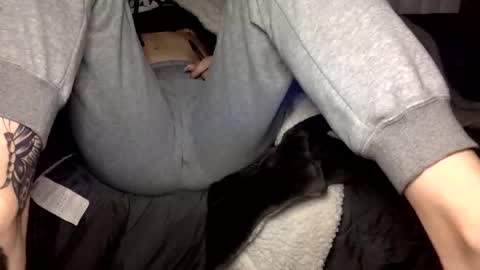 Kitty Sub online show from 17, 12, 2025