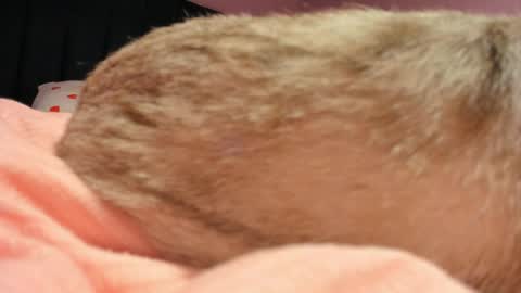 Snapshot of kiyoko_yun chatting on 19, 4, 2026 Yuna online show from 19, 4, 2026