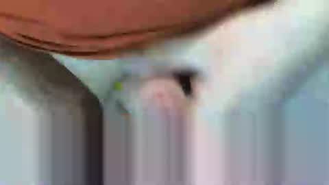 klok8230 online show from 15, 2, 2026