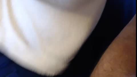 Snapshot of konradboy chatting on 6, 3, 2025 Konrad online show from 6, 3, 2025