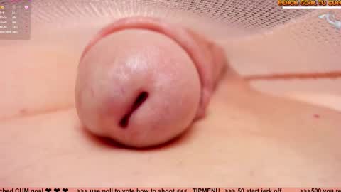 Petra online show from 7, 1, 2026