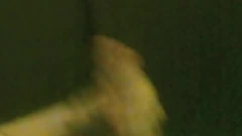 Snapshot of kren565656 chatting on 21, 9, 2025 kren565656 online show from 21, 9, 2025