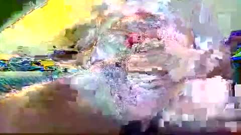 kumtimer online show from 8, 6, 2026