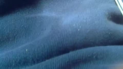 kunio37 online show from 4, 1, 2025