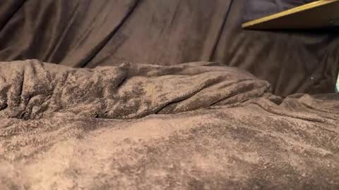 kylevandick online show from 11, 4, 2026