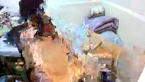 Eynah online show from 11, 9, 2025