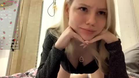 Alice online show from 13, 6, 2026