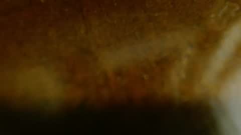 la teaser online show from 20, 11, 2025