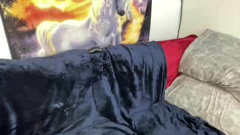 Lacy8Vankort online show from 8, 2, 2025