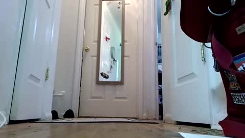 lacybell online show from 8, 1, 2025