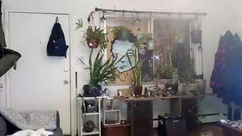 lacybell online show from 2, 3, 2025