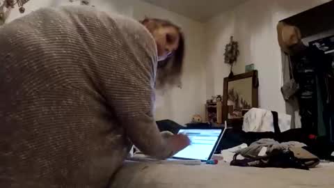 lacybell online show from 16, 11, 2025