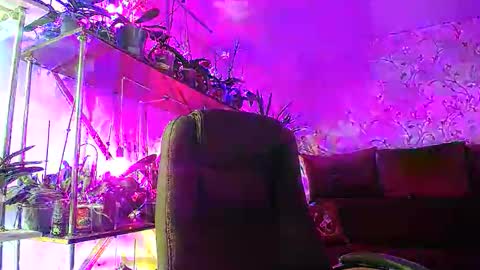 Snapshot of lady_gloria chatting on 2, 11, 2025 Lady Gloria online show from 2, 11, 2025