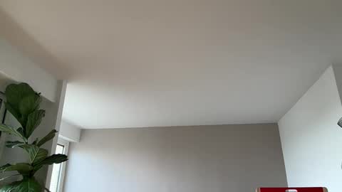 Lanimal online show from 10, 3, 2026