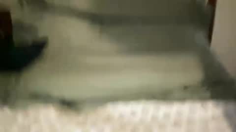 Snapshot of largecockkenny chatting on 27, 2, 2026 HUNG YUNG STR8 online show from 27, 2, 2026