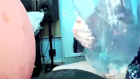 latexchris77 online show from 11, 3, 2026