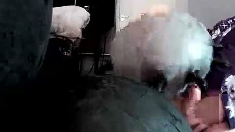 latexchris77 online show from 14, 4, 2026