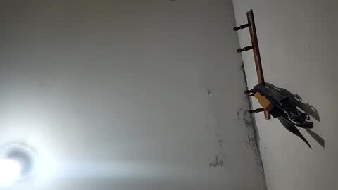 CHARLES ROBERT online show from 20, 12, 2025