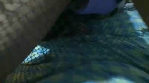 latinoboi2 online show from 1, 4, 2026