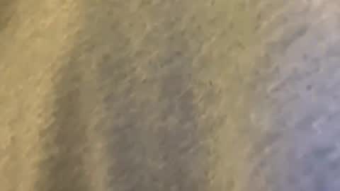 Snapshot of latn_73 chatting on 9, 3, 2026 Mexakin online show from 9, 3, 2026