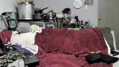 Snapshot of lauradecuada2 chatting on 8, 2, 2026 lauradecuada2 online show from 8, 2, 2026